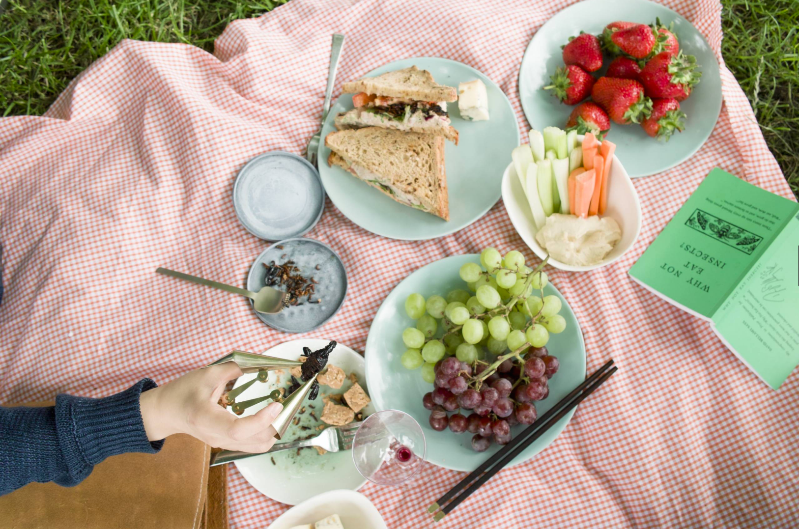 Welcome to the perfect bug picnic.