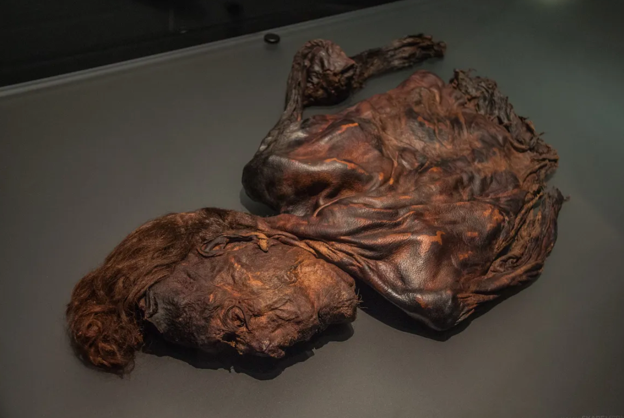The conditions of peat bogs (highly acidic water, low temperature, little oxygen) are remarkably effective for preserving bodies. 
