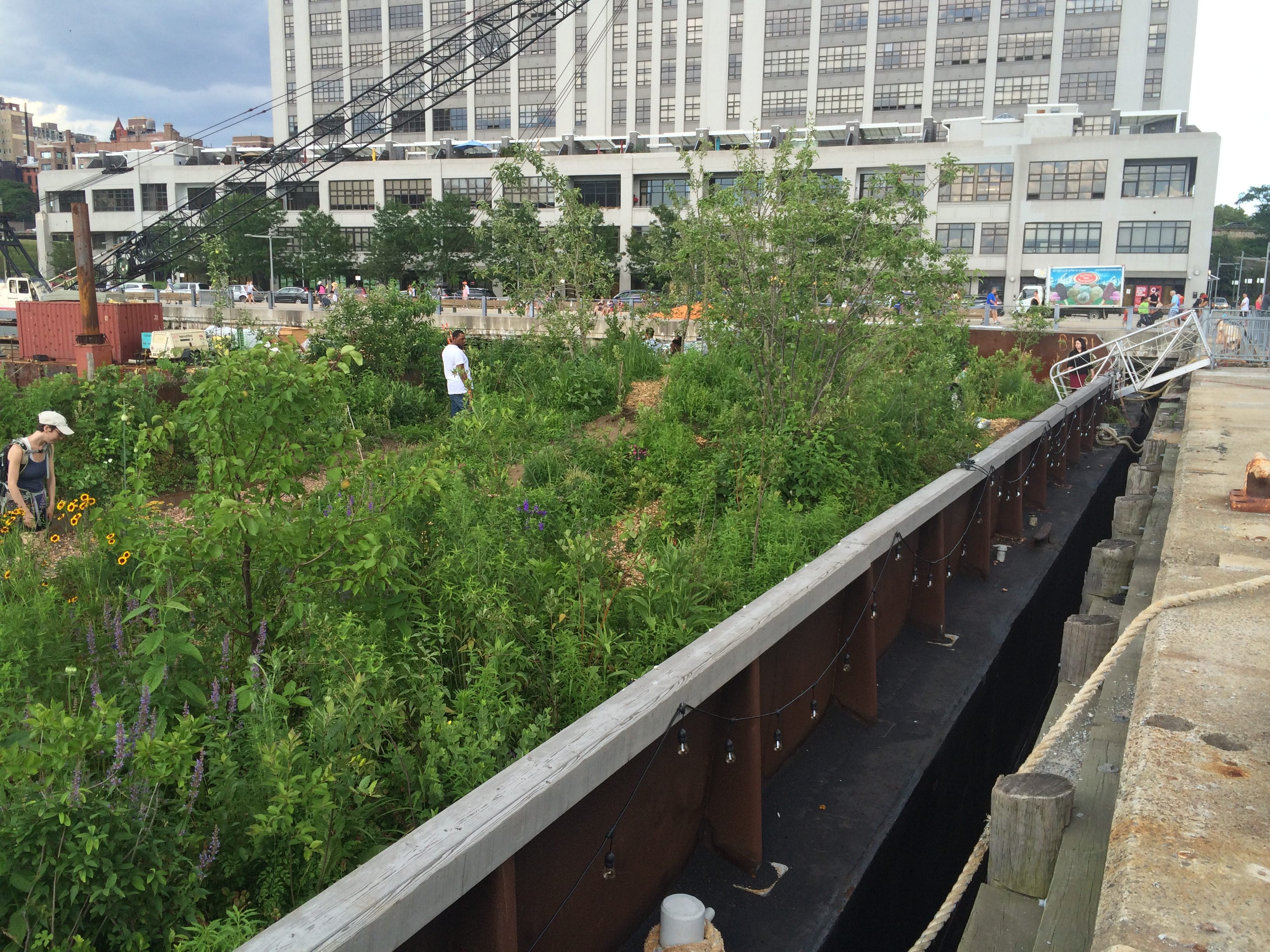 Swale's home at Brooklyn Bridge Park.