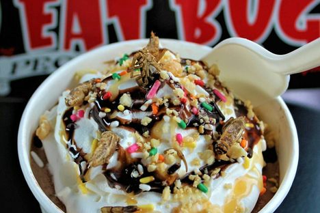 The Bug Eater's Delight. 