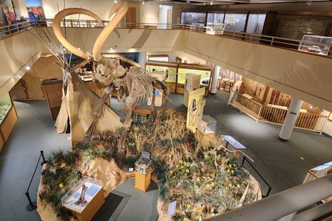 Prehistoric Museum 