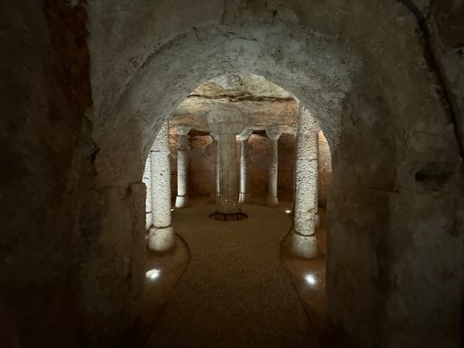 Cueva de la Yedra 