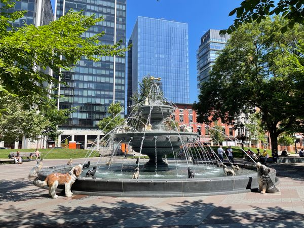 Dog park water fountain online