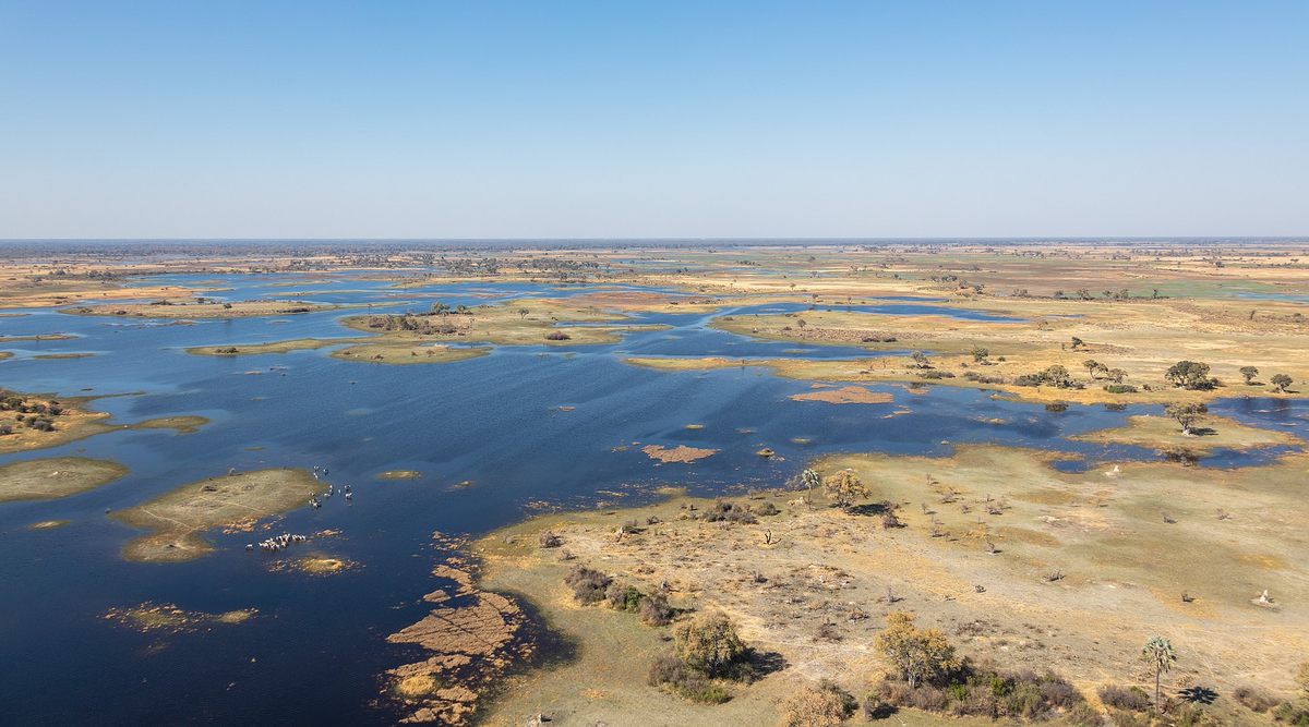 The Okavango Delta is a region of striking biodiversity that provides water to a million people.