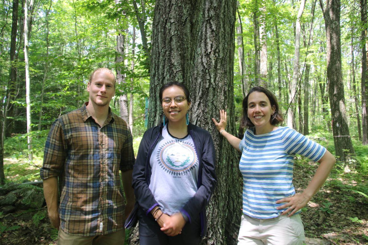 Rademacher, Greyeyes, and Hart are giving the tree a voice on social media.