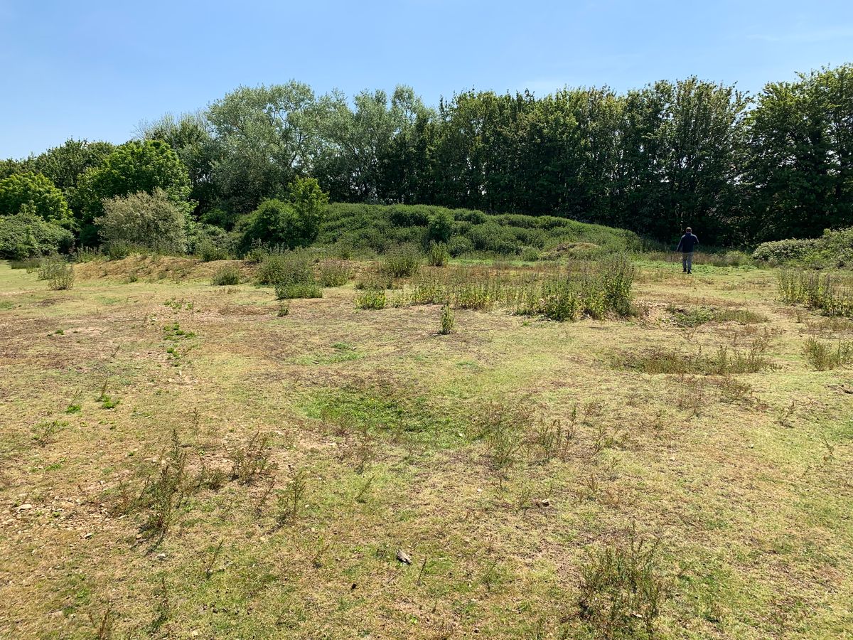 Springfield Lyons Bronze Age Enclosure in Springfield