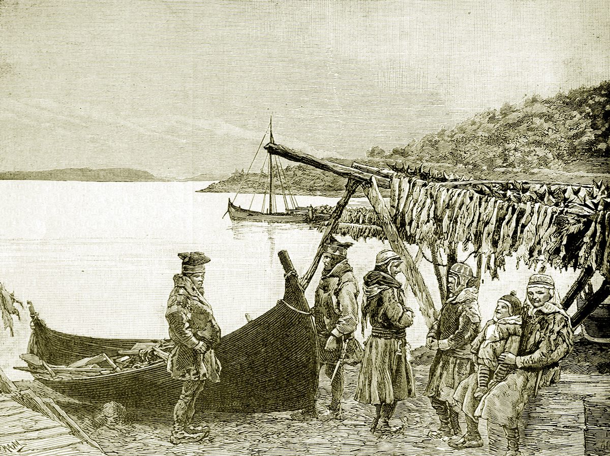 Dried Stockfish / Stockfish Cod From Norway by Spinel Company