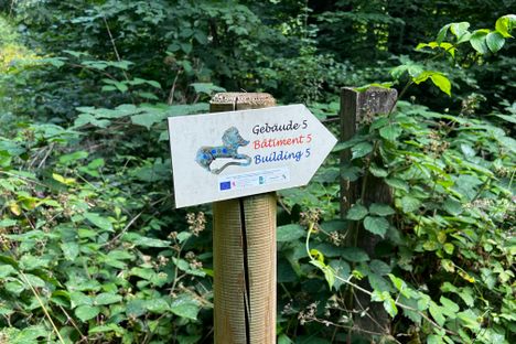 Directional signs to help visitors locate the several sites hidden in the forest