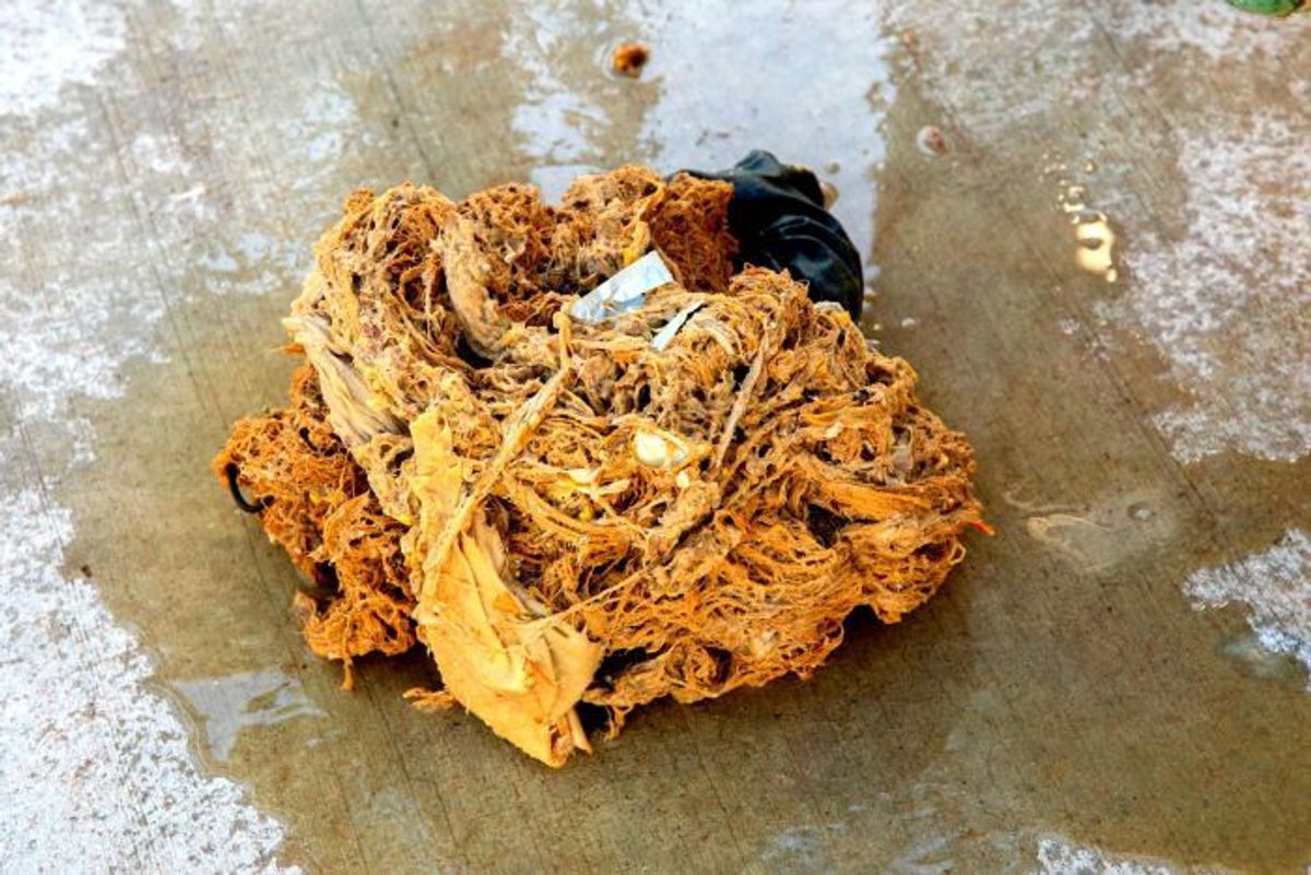 The fatbergs, or "junkbergs," are often strewn with little bits of trash.