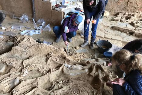 Team members have found the bones of more than 50 animals sacrificed in a courtyard at Casas del Turuñuelo.
