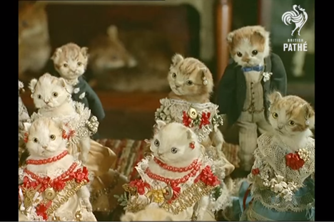 Take a Virtual Tour of One Man's Strange World of Stuffed Animals
