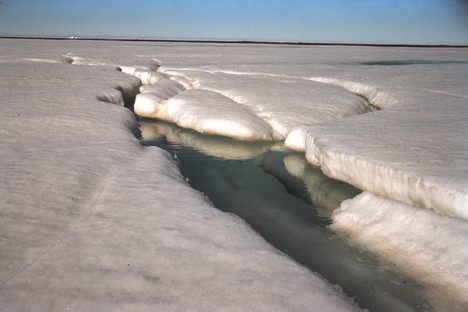 Across some sections of the Arctic, seasonal sea ice is failing to reappear as temperatures rise.