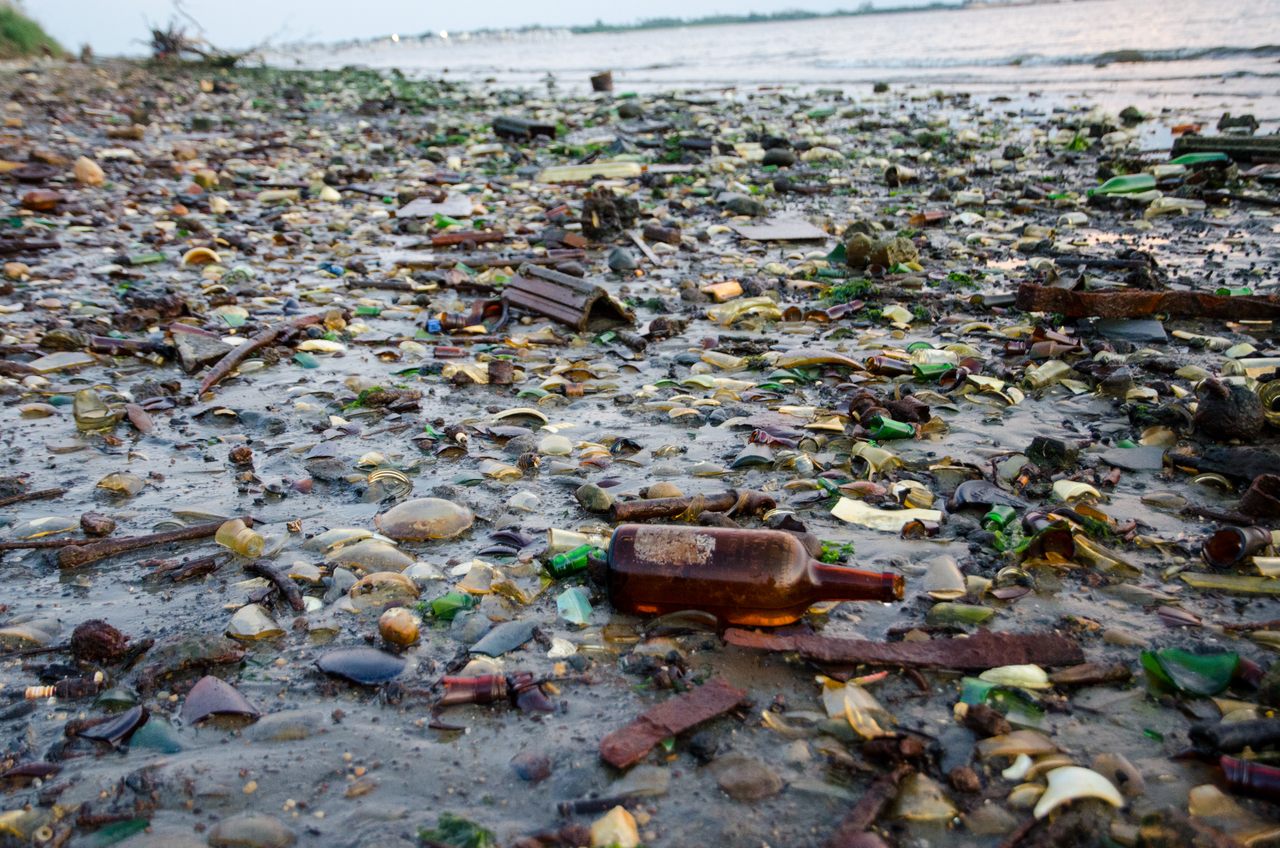 The shore of Dead Horse Bay, photographed in 2015, is known for its trash.
