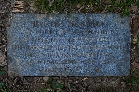 I wish I had a better photo but the headstone is old and dirty. 