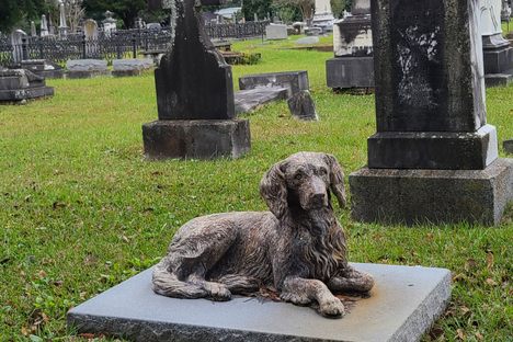 This loyal guardian watches over the children.