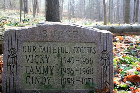 Happy Woodlawn Pet Cemetery.