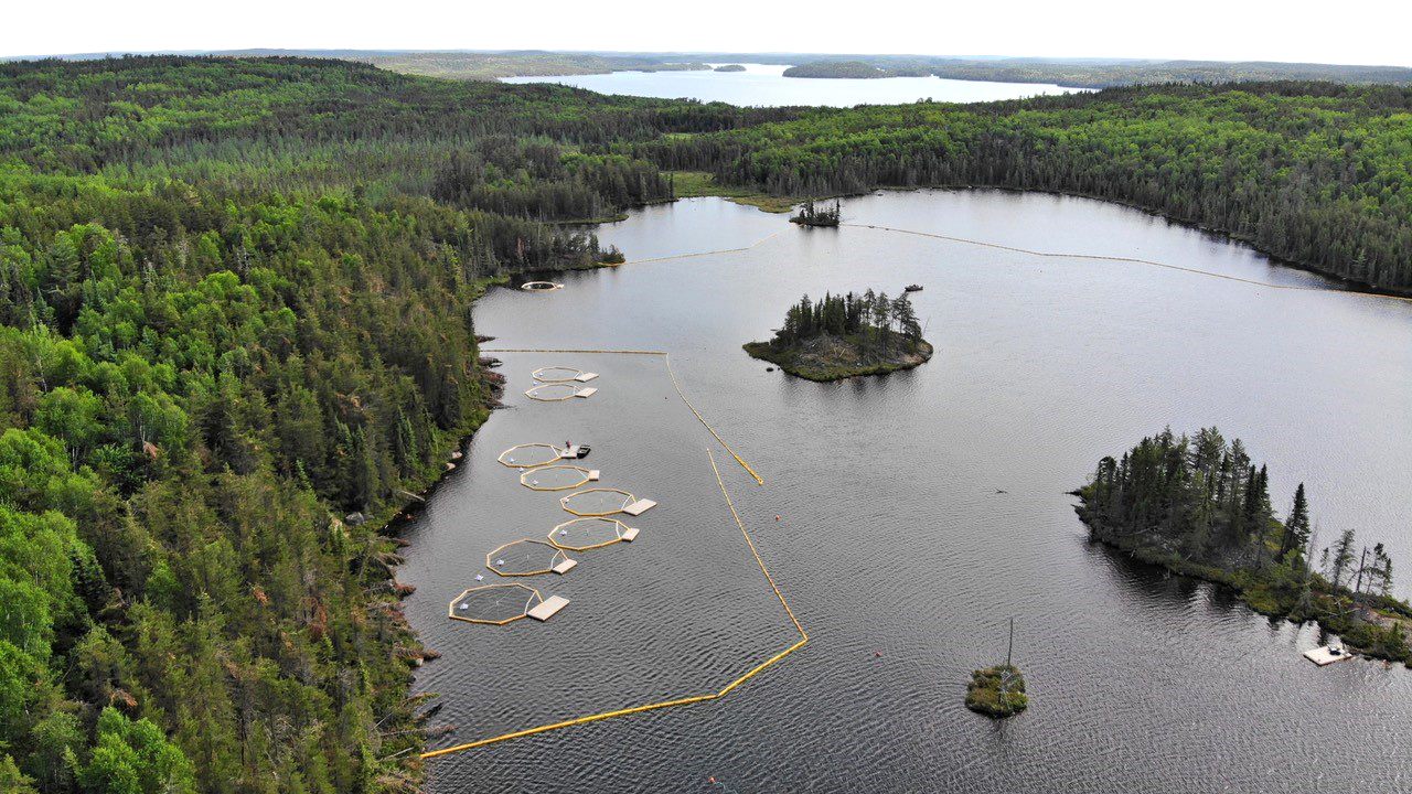At the Experimental Lakes Area, scientists study the effects of oil on lake organisms.