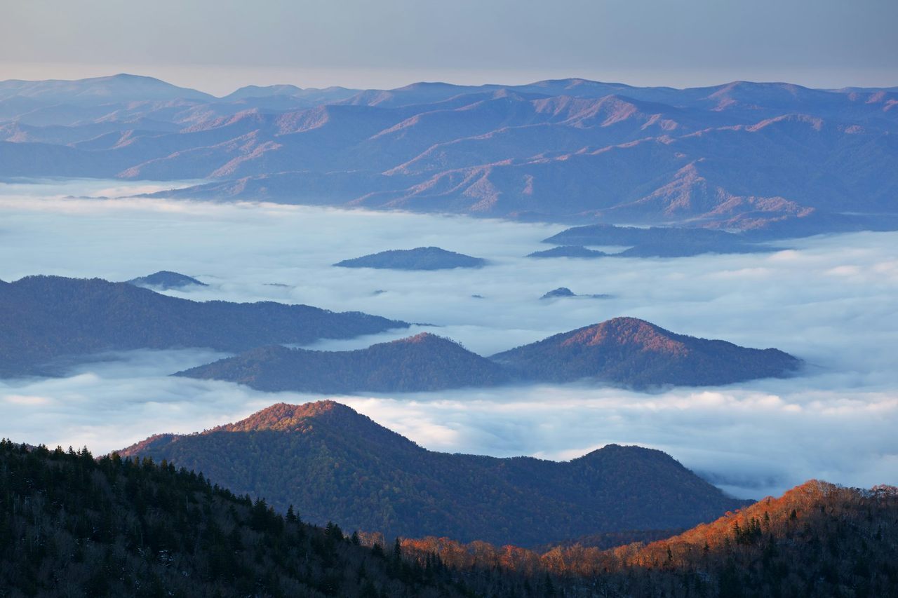 View from the overlook on Kuwohi of the mountain peaks and ridges of Great Smoky Mountains National Park.