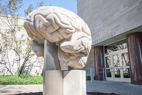 Brain Sculpture