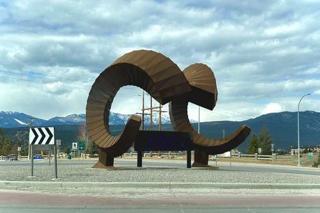 The imposing bighorn sheep horns.