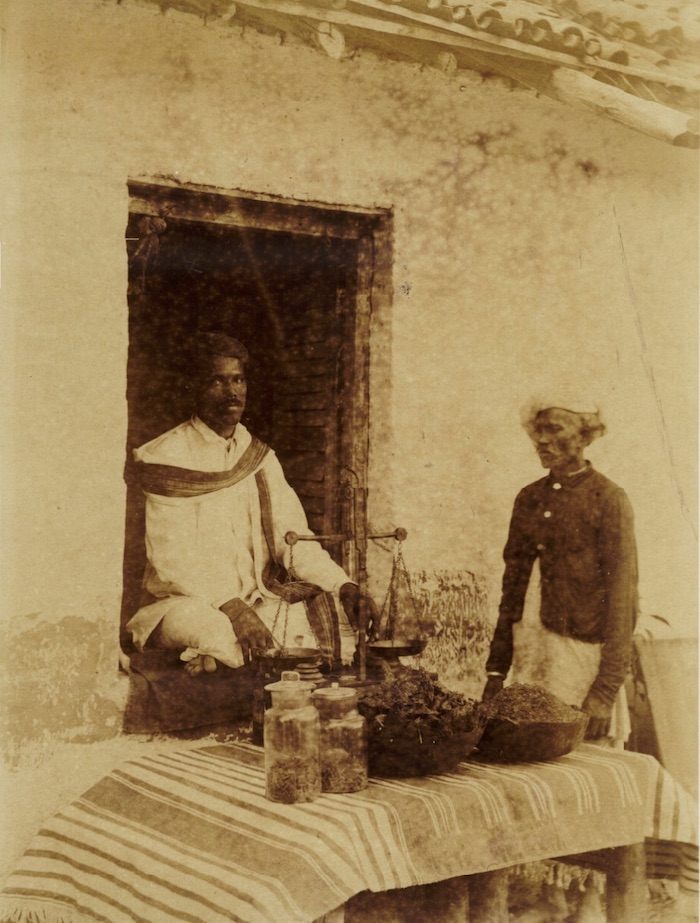 Cannabis shop in Khandesh, India, late-19th century.