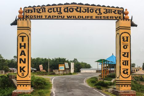 Koshi Tappu Wildlife Reserve 