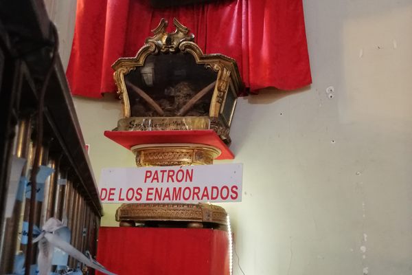 The relics include a skull and other bones.