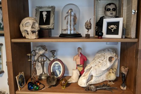 Morbitorium.