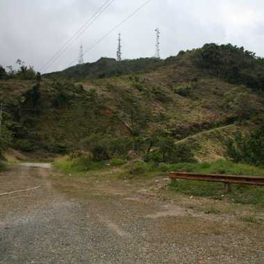 Access road to Cerro de Punta