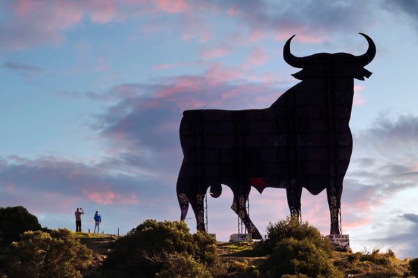 直到1990年代,当西班牙的广告牌被禁止,这些牛都被涂上了奥斯本Veterano白兰地的名字。公司删除单词和成功有巨大的公牛队被视为艺术。