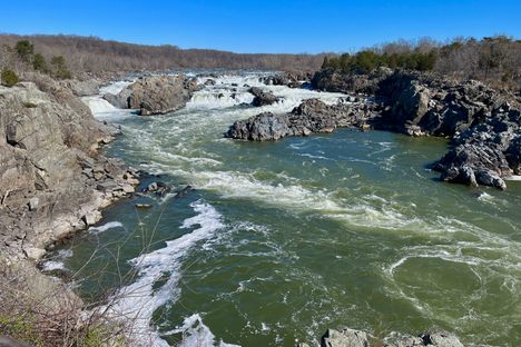 Great Falls, Virginia