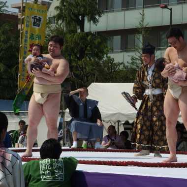 Naki Sumo Baby Crying Contest