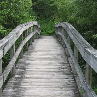 Robert Frost Interpretive Trail.