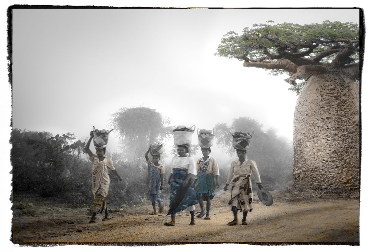 "We have a long drive from Morombe to Tuléar, where we pass these women walking the muddy road. It would usually take four-and-a-half hours but takes 11."