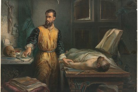 How The Medical Cadaver Finally Got the Respect it Deserves