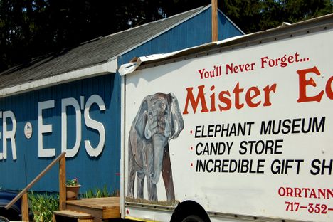 Mr. Ed's Elephant Museum 