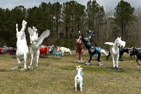 Grahamland Attractions