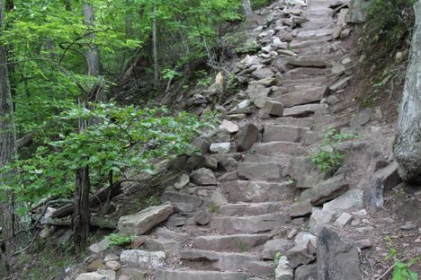 The steps take hikers through the woods