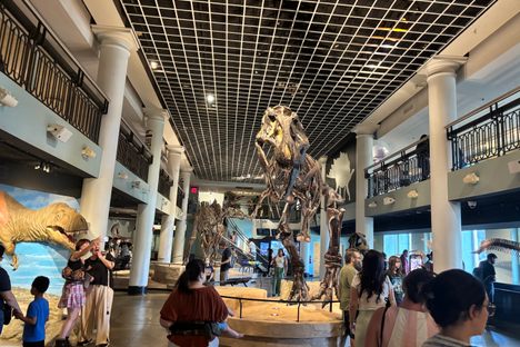 Birds, Beasts, and Big Old Skeletons