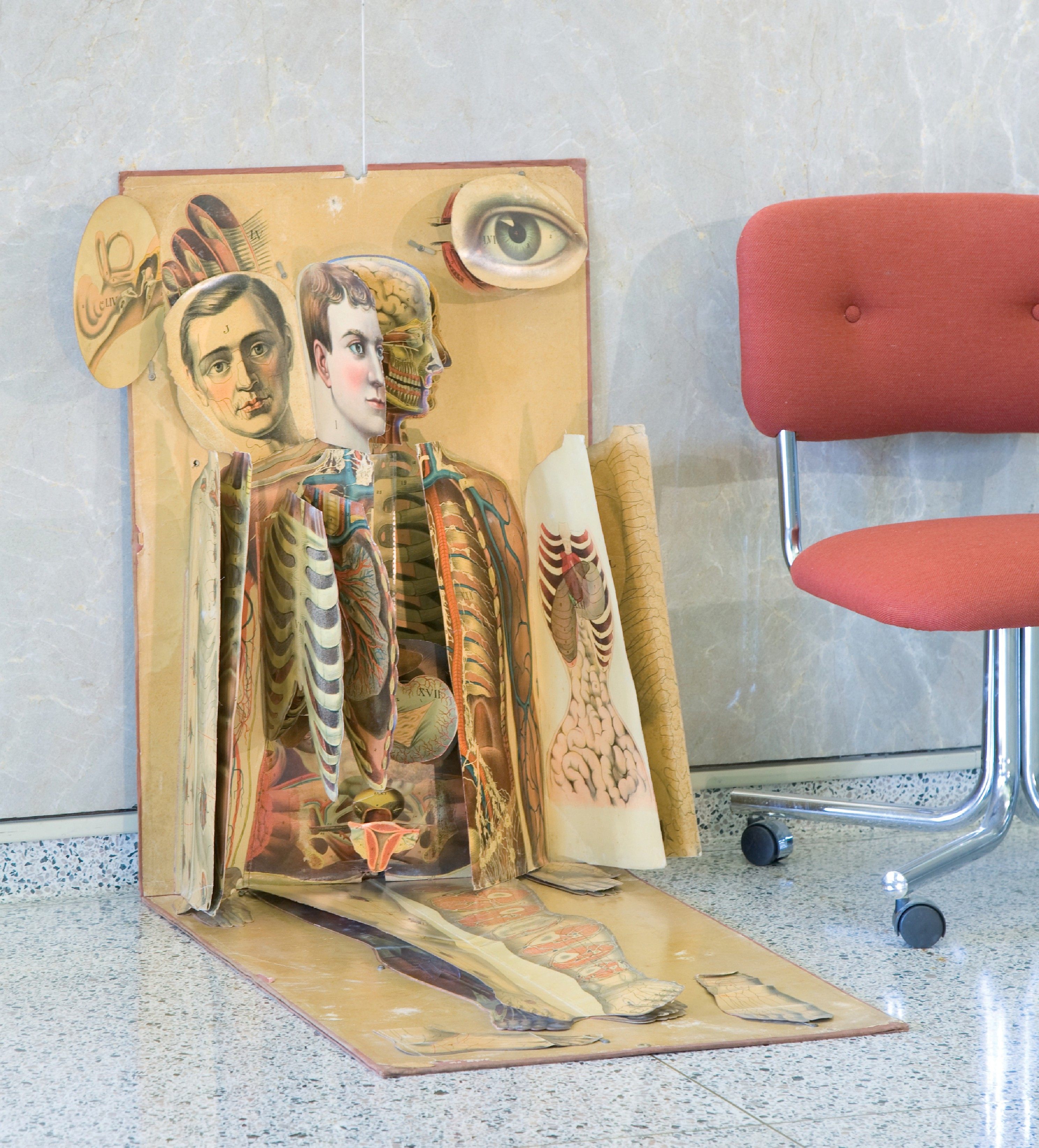 White's Physiological Manikin, from the book <em>Hidden Treasure: The National Library of Medicine</em>.
