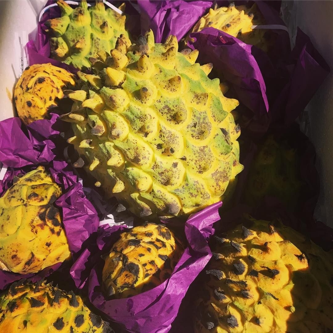 Vibrant yellow rollinia.