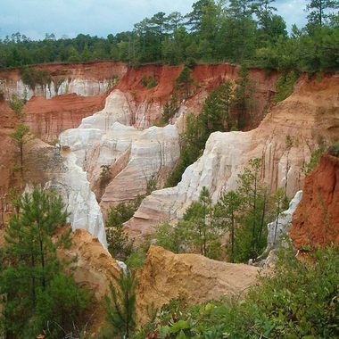 Part of Providence Canyon from rim near entrance road