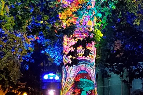 Liberty Tree during the summer light show.