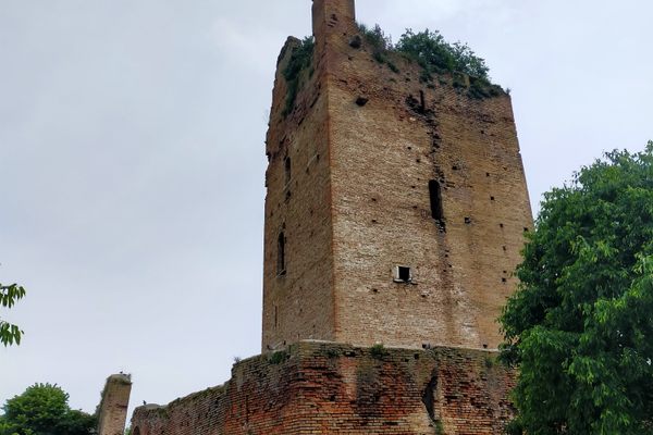 The hunger tower