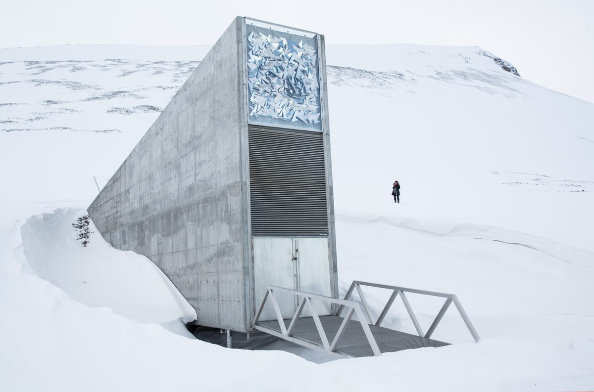 Only 80 percent of plant species are amenable to the seed banking technique used at sites such as this one, the Svalbard Global Seed Vault in Norway.