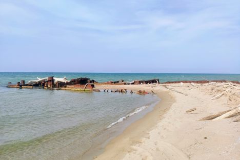 Eden V Shipwreck