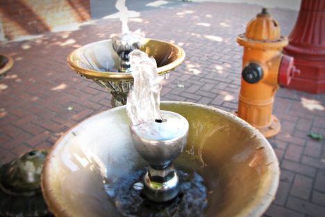 Thirsty?