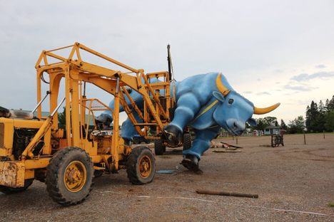 A Massive Blue Ox in Minnesota Was Felled By A Thunderstorm