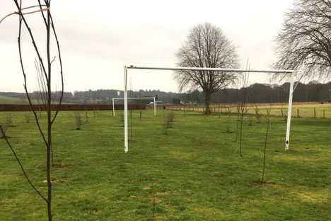 Local Council Is 'Sorry' After Planting a Bunch of Trees on a Soccer Field
