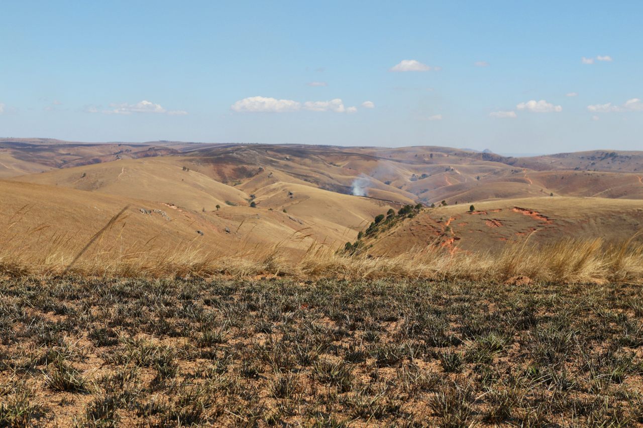 The view from an Ankafobe Forest fire break. Once, this region of Madagascar would have been rich with forests. Today, thanks to regular slash-and-burn agriculture, all you can see on the surrounding hillsides is grasslands.